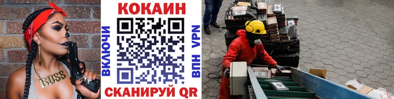 Купить закладки  Межгорье  COCAIN Fish Scale 