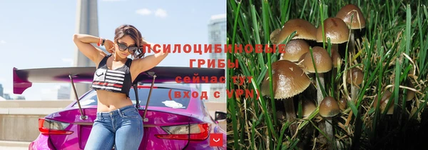 марихуана Нефтекумск